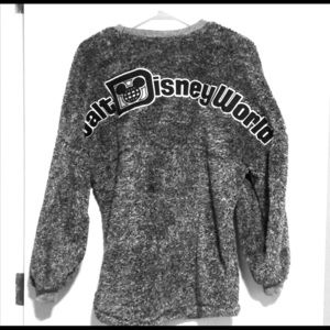 Walt Disney World Spirit Jersey